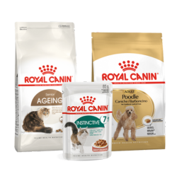 ROYAL CANIN