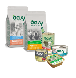 OASY